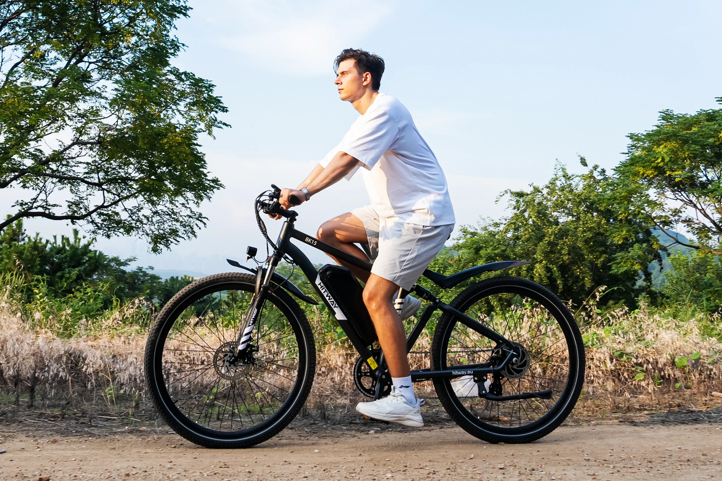 BK15PL  29 Zoll Elektrofahrrad - Image 10
