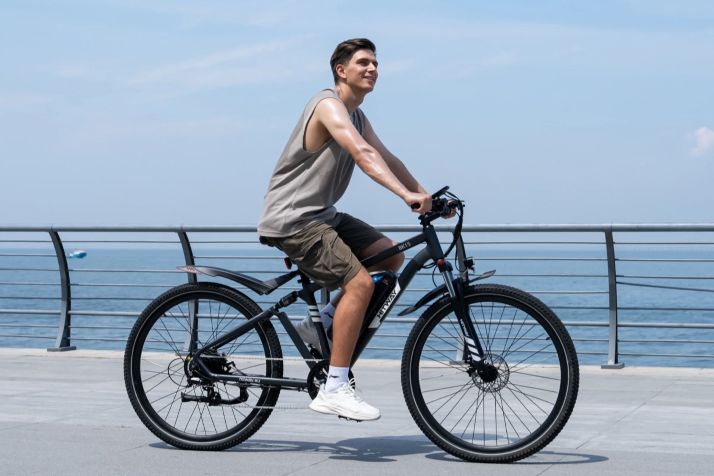 BK15PL  29 Zoll Elektrofahrrad - Image 11