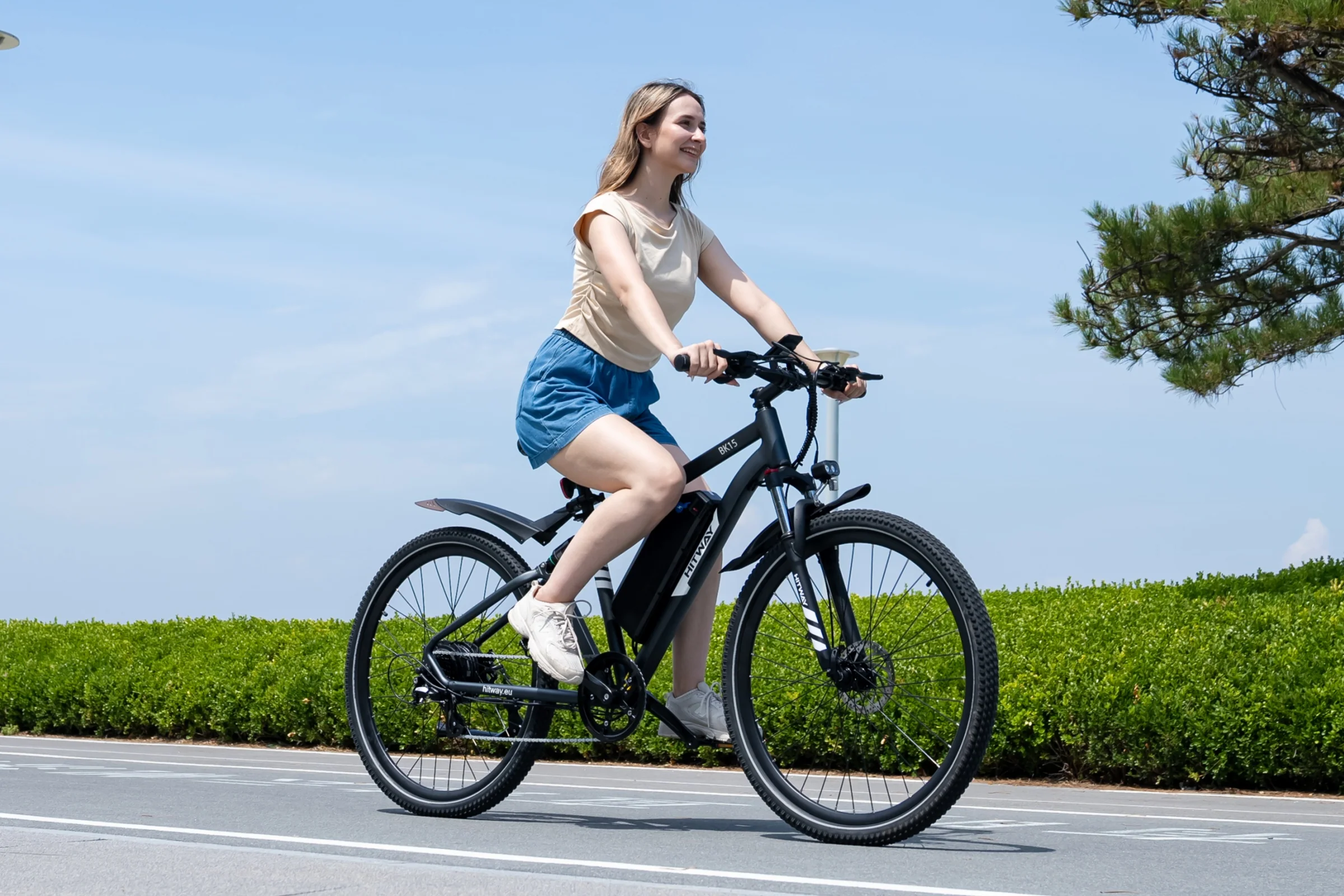 BK15PL  29 Zoll Elektrofahrrad - Image 12