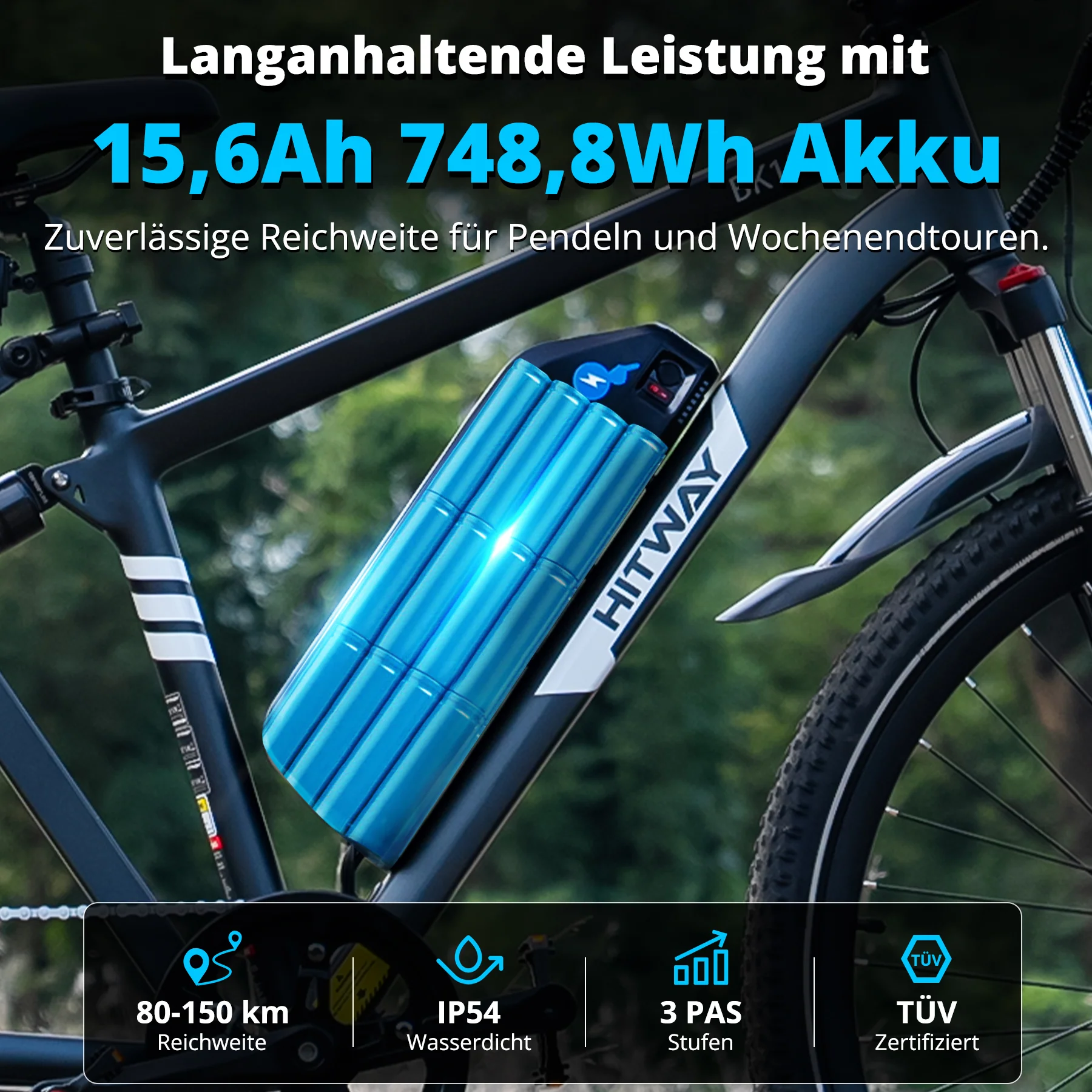 BK15PL  29 Zoll Elektrofahrrad - Image 5